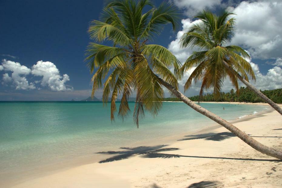 סנטה-אנה Holidays In Martinique - Ravenala מראה חיצוני תמונה