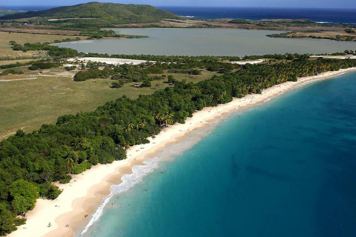 סנטה-אנה Holidays In Martinique - Ravenala מראה חיצוני תמונה