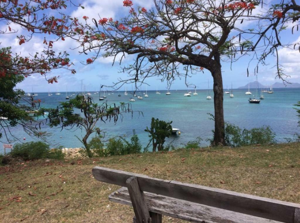 סנטה-אנה Holidays In Martinique - Ravenala מראה חיצוני תמונה